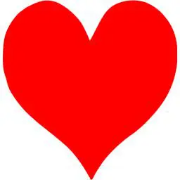 A red heart is shown on the white background.